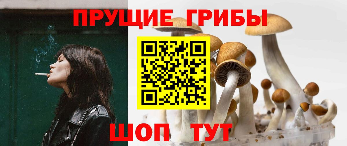 Усть-Илимск  Псилоцибиновые грибы прущие грибы  цена   Галлюциногенные грибы ЛСД  Вход с VPN 